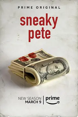 詐欺擔(dān)保人 第二季 Sneaky Pete Season 2